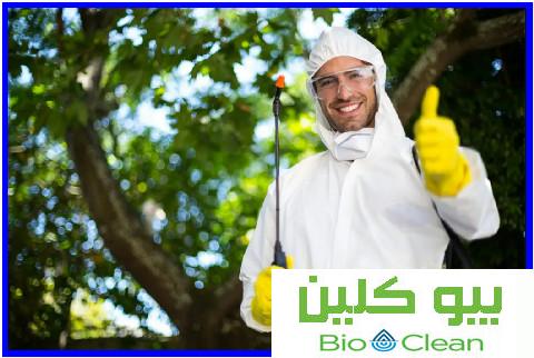 شركة رش مبيدات في عجمان
